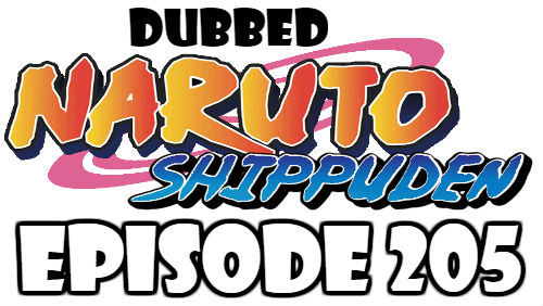 Naruto Shippuden Episode 205 Dubbed English Free Online